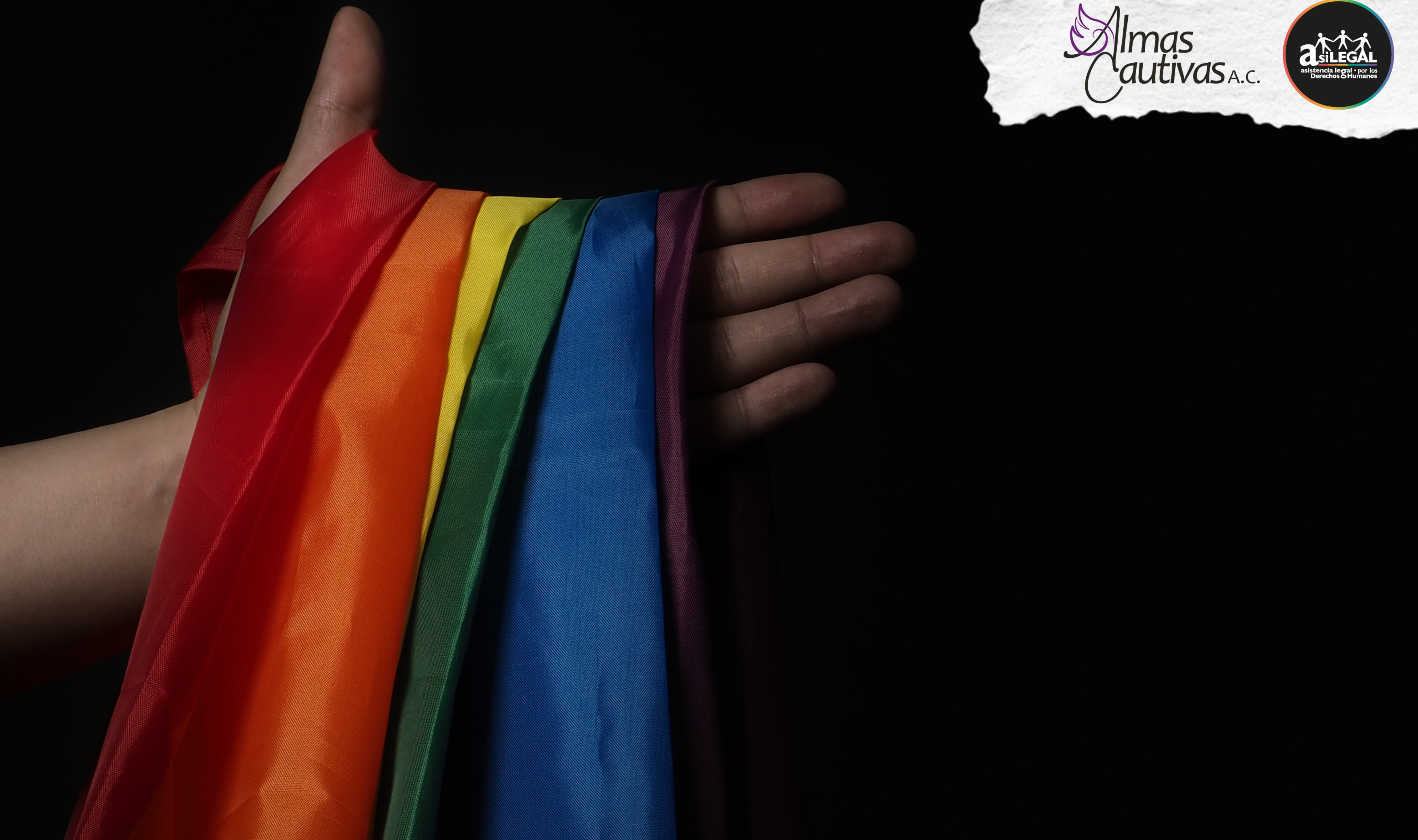 Programa de formación de jóvenes en Defensa de los Derechos Humanos de personas LGBT