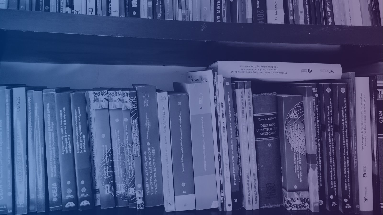 Contribuciones a mecanismos internacionales. ONU-OEA